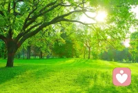 有時(shí)候僅僅是一句話，就如同一束溫暖的光，照亮我們前行，給予我們力量。配圖