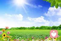 當遭遇挫折時，不要畏懼失落，而應勇敢站起來，笑對困難，拍去身上的塵灰，繼續追逐夢想！配圖