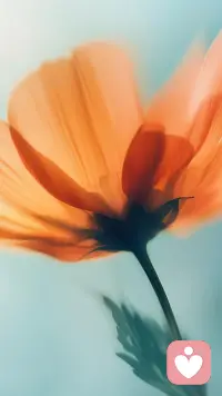 并不一定要消除痛苦，因為痛苦也是你的一部分，重要的是學會如何與痛苦共生。配圖