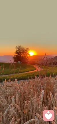 當孤寂時，不要將就，你可以向你身邊的心理咨詢師傾訴你的心聲。配圖