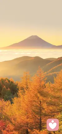 奔波和忙碌都是一種幸福。當你累了可以去休息，當你難過可以借酒消愁。每天黎明到來都是新的開始，地球不會因為任何苦難而停止轉動，所以，我們沒有理由停滯不前。配圖