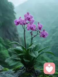 一個人的認知高度，決定了他的人生高度。配圖