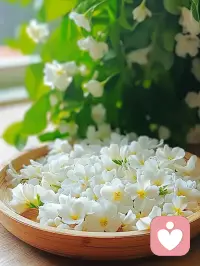 在現代社會中，我們往往被繁忙和壓力所困擾，忽略了內心的需求和生活的美好。然而，若能夠將健康和快樂放在生活的首位，我們便能夠找到內心的平靜和滿足。配圖