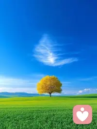 人生最好的狀態(tài)，是每天醒來，面朝陽光，嘴角上揚(yáng)。不羨慕誰，不討好誰，默默努力，活成自己想要的模樣。配圖