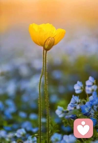 熱愛生活的每一刻，就是要擁抱每一個挑戰和機遇。無論是成功還是失敗，每一次嘗試都讓我們變得更加堅韌。配圖