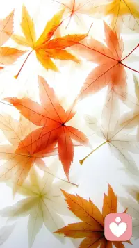 心態(tài)如盛開的花朵，散發(fā)著內(nèi)在的芬芳，格局隨之如秋葉般寬廣，承載著豐碩的果實！配圖