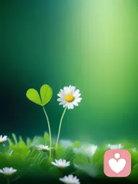 生命不是用來較勁的，而是認識自己，接受瑕疵，超越自己的過程。配圖