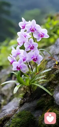 自我改變雖難，卻是讓人上癮的過程。人生挑戰(zhàn)無處不在，只需一關(guān)關(guān)地突破，逐漸卸下脆弱，披上新的鎧甲。配圖