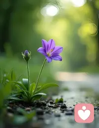 “愛的教育”不僅僅關乎戀愛，它滲透于生活的每一個角落：是家人的理解和包容，是朋友間的相互扶持，是對陌生人的善意微笑。它教會我們如何給予，更教會我們如何接受——接受自己的不完美，也接受他人的不同。配圖