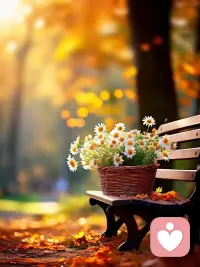 一個轉身，光陰就成了故事，一次回眸，歲月便成了風景。讓我們放下浮躁，放下留戀，和過處再見，和來處重逢。配圖