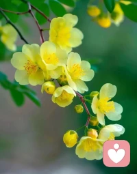 別總想著太遠的將來，過好當下，便是對人生最好的交代。配圖