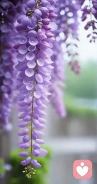 錢沒了可以再掙，朋友沒了可以再交，愛情沒了可以再找，記住，你什么都不缺，你缺的是一份重新開始的勇氣。配圖