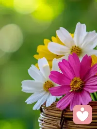 如果你要變得更好，就不要總是回頭看那些曾經傷害過你的人。生活還很長，美好的事情一定會發生。配圖