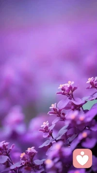 給自己留點空白，會使心靈更暢快地呼吸。
當你春風得意時，留點空白給思考，莫讓得意沖昏頭腦；
當你痛苦時，留點空白給安慰，莫讓痛苦窒息心靈。配圖