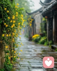 🌸很多时候困住我们的，不是事情本身，而是放不下的执念、过度的思虑，和不肯放过自己的心。配图