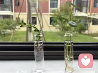 怎樣才算是一個好的傾聽者呢？
堅持一些原則是對的嗎？配圖