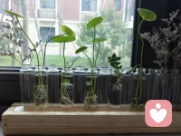 認識自己，看見自己，自己真正需要的是什么就會越來越清晰。配圖