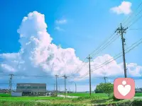 每个人都是宇宙同一股生命能量的独特显化，我相信每个人的生命力。配图