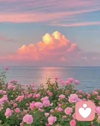 我们遇到的所有问题、困难和障碍，最终，都可归因为我们的自我协调能力。配图