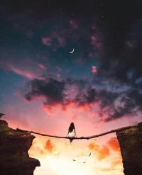 成长是一场向内的探索，是一场与自我的对话。配图