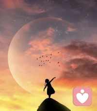 一个人无法一直依赖庇护，人生总有一天要独立面对所有的可能性。配图