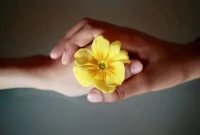 为了幸福，你选择了结婚。为了幸福，你选择了离婚。为了幸福，你选择了单身。
愿你的每一种选择，都能收获自己想要的幸福！配图