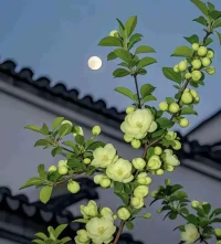 我在感受世界，也在感受你。配图