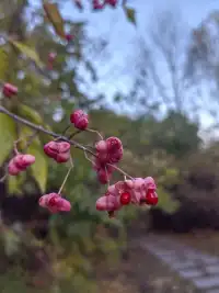 人要为自己的选择负责，负责那一刻的开心，负责随之而来的、无边无际的后悔和难过。配图