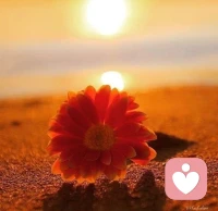 断舍离，才是成年人顶级的自律。
点到为止，见好就收，不行就撤，过期不候。配图