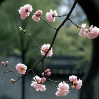 有时会冬眠，有时想躲开全世界，可是最终，你还是会重新看见阳光。配图