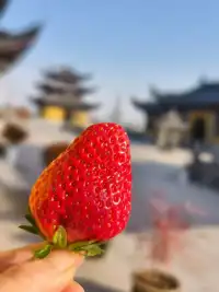 你对别人再好，都不如对别人有用。
人脉，不是你认识多少人，而是多少人认为你有价值。配图