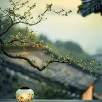 大部分的人一生都不会意识到：我们加在自己身上最大的压力之一，就是来自我们对父母的排斥。配图