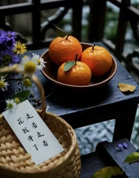 身体不受力，你就会很轻松；心不受力，你就会很自在。配图