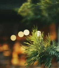 孤独，并不是身边无人，而是拼命想挤进人群的人。配图