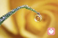 新的一天开始了，你打算如何照顾自己呢？配图