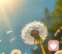 學(xué)會(huì)接受自己，是我們一生的功課。配圖