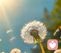 在焦虑的情形中，危险感是由内在的心理因素所激发和夸张了的，无能为力的感觉也是由个人自己的态度所决定的。配图