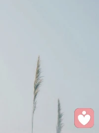 真正的爱，是看见你的光鲜，也接纳你的不堪；看见你的坚强，也心疼你的脆弱；看见你的伪装，也守护你的真实。配图