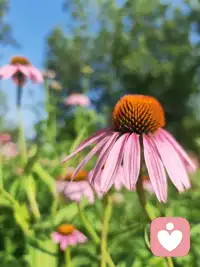 可怕的从来不是真诚，而是没有边界、没有容错、没有自我的执念。
剔除占有与捆绑之后，干净又松弛的爱意，才不会变成伤人的牢笼。配图
