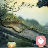 真正好的亲密关系，从来不是改变对方，而是两个完整的人彼此靠近。