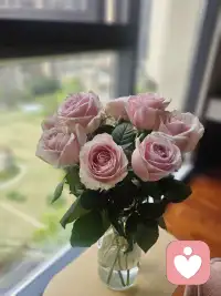 当你自己的生活足够丰盈，内心足够安稳，情绪足够稳定，不再需要靠别人证明自己的价值时，你吸引来的感情，才是平等、真诚、长久的。