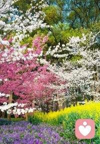 周二打卡！风是甜的，阳光是暖的，值得被好好对待的！抬头看看天，所有小烦恼都被云朵轻轻吹走啦☁️
解锁晴好天气成就🔅 把烦恼晒成水蒸气，让心情和太阳一样灿烂✨配图