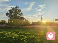 旅途的風景治愈人心，探索內在的風景更加重要。人生路上，愿各位情緒流暢，胸懷坦蕩#情緒釋壓14天 協助大家探索內在風景配圖