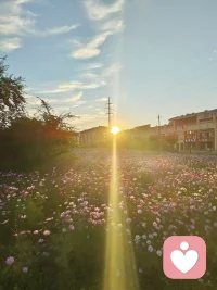 父母不成長，孩子也無法有力量！配圖