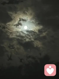 當一個人熬過了最艱難的時候，就不再想去尋找依靠，任何人都是負累。配圖