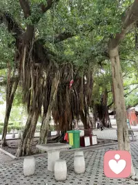 成長意味著我們愿意為自己的行為負責，
為我們的感覺，想法和情緒負責

在一段關系中，不是依賴的做法，要求對方改變
而是鼓勵你去處理自己的部份，鼓勵你的伴侶去處理他（她）的部分配圖