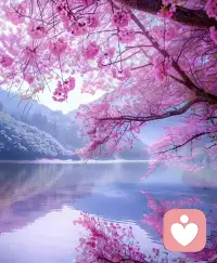 允許自己被真正喜愛的東西默默牽引，
順應那強大的力量，它不會將你引入歧途。
                          ———魯米配圖