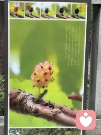 對人生而言，我們唯一能確定的就是不確定的人生，我們永遠不知道明天和意外哪個先來。

近期感觸：#及時表達愛

大方表達，在意一個人就要讓對方感受到。不只是對喜歡的人，對家人和朋友也是這樣。

我們總以為人生無限漫長，有很多時間足夠我們去揮霍，殊不知人生很短。

有想做的事就去做，對身邊的人及時表達你的“欣賞與感恩”，珍惜每個當下。

讓它成為你的生活習慣。配圖