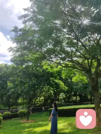 #為什么要學習療愈
療愈是去改變注意力的方向，不向外指責、抱怨；多去向內(nèi)聆聽、觸碰。

榮格說：往外追尋迷失在夢里，往內(nèi)探索覺醒于實相。

如果你在同一個地方、重復的受苦，重復負面的行為模式，那是因為你鎖住了、僵化了，卡在傷痛中。

誰鎖上了自己？
誰可以為自己松綁？
#只有自己

如果你可以為自己松綁、抱持，就可以踏上自己的英雄之旅，無畏地走在生命的大道上。

#這也是我們唯一可以自我超越的方式配圖