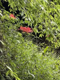 ??多讀這幾句話：能治愈你的的內耗和焦慮

#關于無常
放下事情不會變壞的期待
全心全意地活在當下

#關于他人
任何的存在都是映照在自己的身上
用以幫助自己能夠去成長

#關于選擇
有選擇的生命是命運
沒有選擇的生命只能是宿命

#關于痛苦
誰痛苦，誰改變

#關于愛
你不完美
但你依然可以擁有我的愛配圖